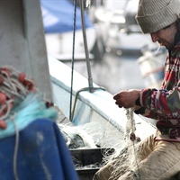 Pesca: Nel 2030 oltre 9 prodotti ittici su 10 potrebbero essere di importazione per mancanza di imprese e lavoratori