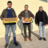 Nasce Frutta Friuli, la più grande cooperativa di frutticoltori del Friuli Venezia Giulia