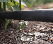 Giornata mondiale dell’acqua: l’ortofrutta in prima linea per la difesa dell’"oro blu”