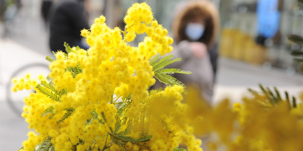 8 marzo: Alleanza Cooperative, cooperazione baluardo parità di genere