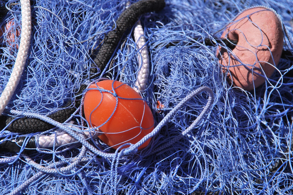 Strong Sea, la cooperazione in difesa dell’habitat marino