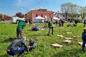 Reggio Emilia: 450 alberi per il parco Dario Fo