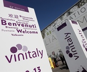 Vinitaly, il vino migliore? Quello fatto in cooperativa