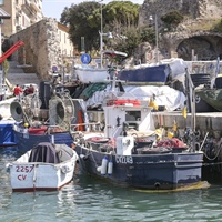 Toscana: FedAgriPesca, costo carburante per barche + 50%, così non andiamo avanti