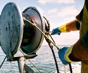 Livorno, Fedagripesca Toscana: “Darsena Europa mette a rischio il lavoro di centinaia di pescatori, servono sostegni”
