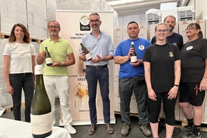 UVA, prosecco doc sostenibile