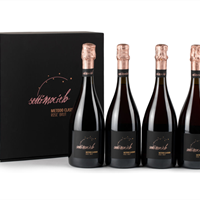 Settimocielo, il primo Lambrusco metodo classico di Settecani