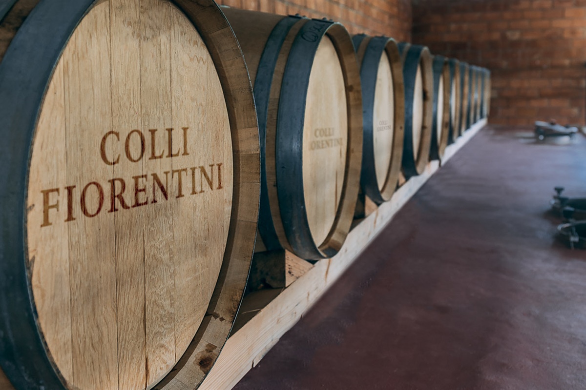 Vino, Cantina sociale Colli Fiorentini festeggia 50 anni: “Con la vendemmia 2022 oltre 100mila quintali di uva”