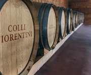 Vino, Cantina sociale Colli Fiorentini festeggia 50 anni: “Con la vendemmia 2022 oltre 100mila quintali di uva”