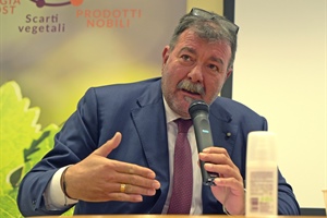 Rigotti: “Continuare a lavorare con la massima coesione contro la demonizzazione del vino”