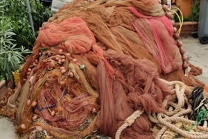 Elba, Fedagripesca Confcooperative Toscana: “Via 7 tonnellate di reti da pesca dismesse”