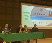 Frutta Friuli, assemblea approva bilancio e rinnova cda, 150 soci, 600 ettari e 14 mln di fatturato
