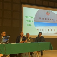 Frutta Friuli, assemblea approva bilancio e rinnova cda, 150 soci, 600 ettari e 14 mln di fatturato