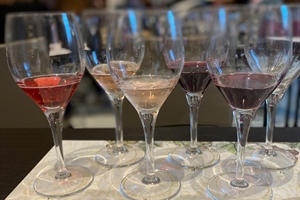 Lambrusco: 20 febbraio degustazione a Milano con Cantina Carpi-Sorbara e S.Croce