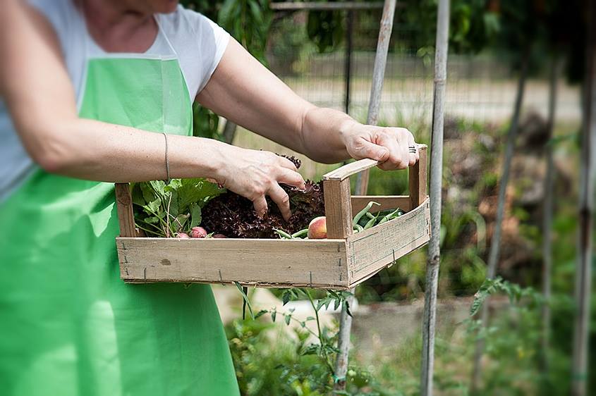 Congiunturale: fiducia in risalita, male l'agroalimentare, stabile sanitario, bene industria e costruzioni