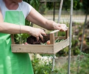 Congiunturale: fiducia in risalita, male l'agroalimentare, stabile sanitario, bene industria e costruzioni