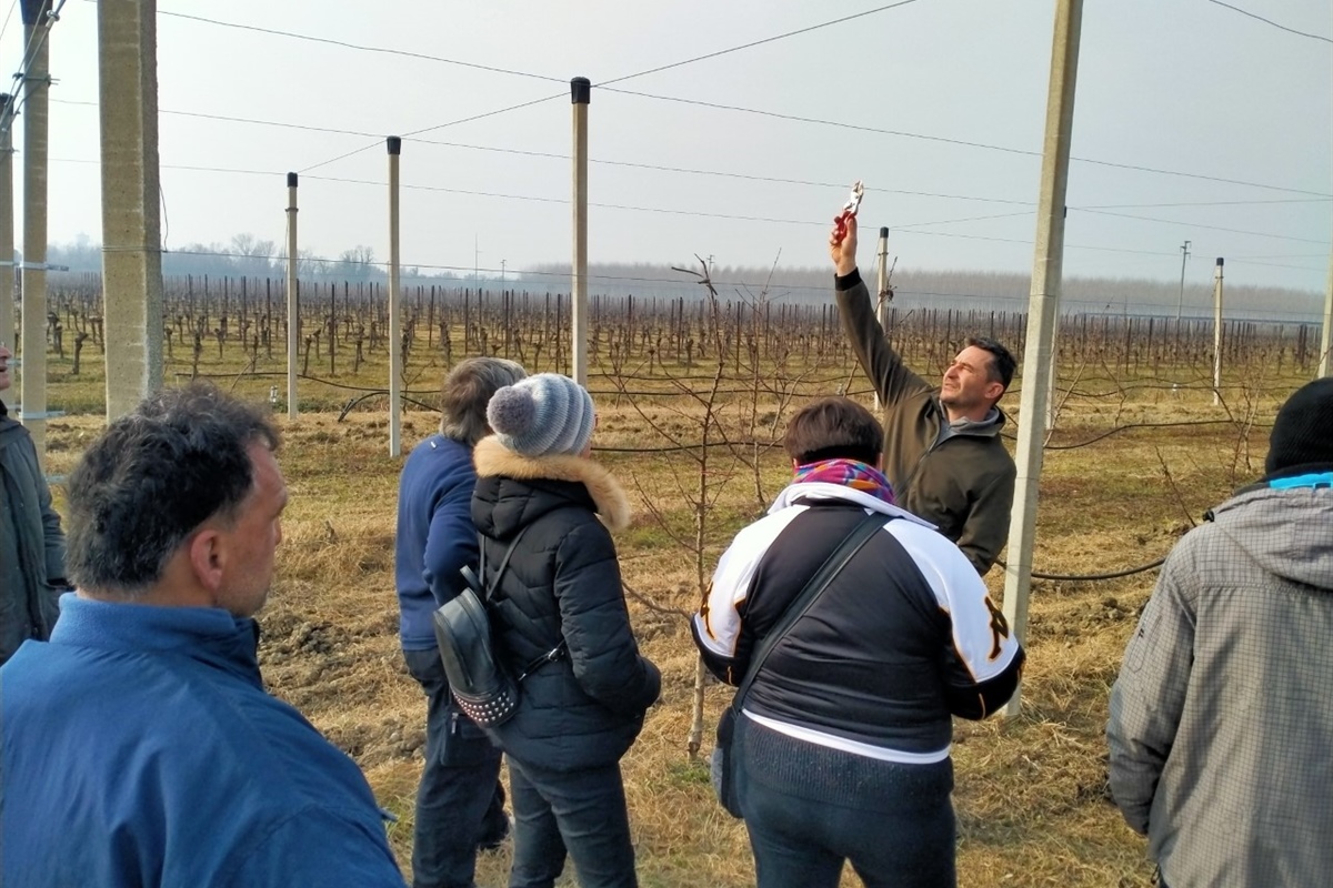 Formazione: diventare imprenditore agricolo, una possibilità anche per le persone fragili