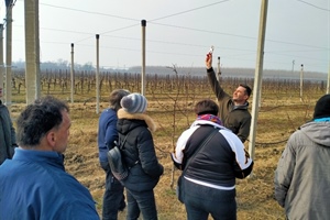Formazione: diventare imprenditore agricolo, una possibilità anche per le persone fragili