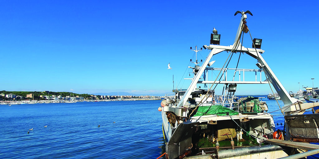 Pesca: Alleanza Cooperative, nasce fronte europeo contro stop strascico entro 2030