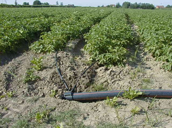 Giornata mondiale dell’acqua: l’ortofrutta in prima fila contro gli sprechi. Il progetto in&out