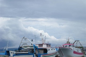 Pesca: Alleanza Cooperative chiede proroga del credito di imposta