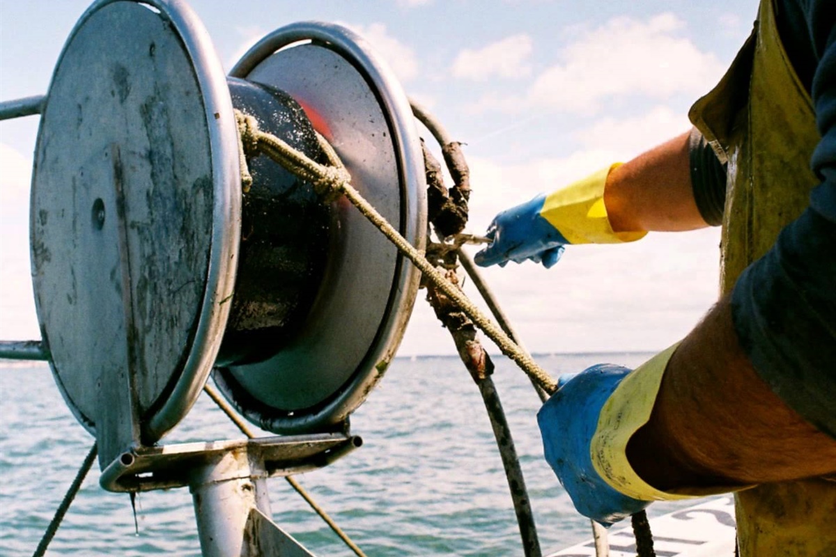 Dal 14 aprile al via all'isola d’Elba "Pesca con gusto"