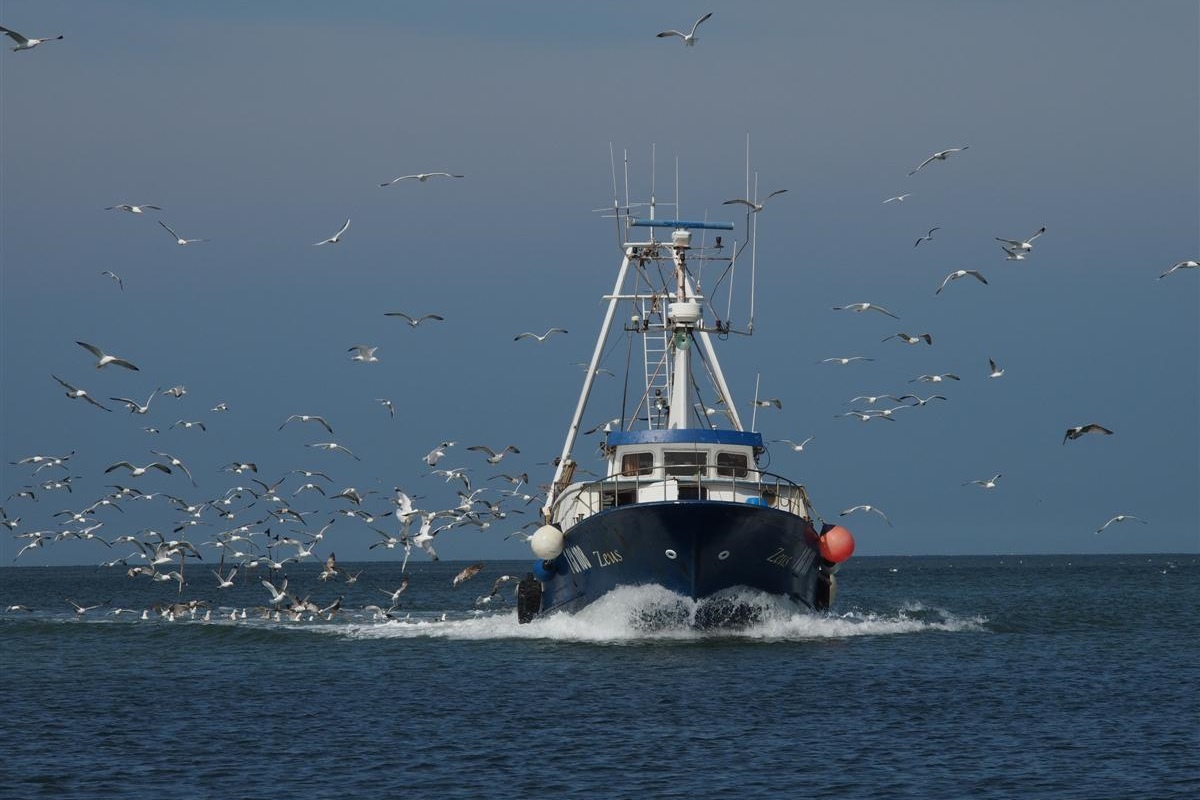 Pesca: Alleanza Cooperative bene accordo in Conferenza Stato Regioni su ripartizione FEAMPA