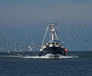 Pesca: Alleanza Cooperative bene accordo in Conferenza Stato Regioni su ripartizione FEAMPA