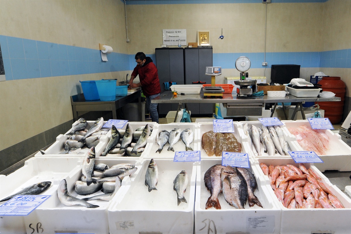 Pesca: Fedagripesca, più Italia nel piatto se cresce occupazione giovani
