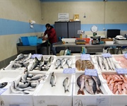 Pesca: Fedagripesca, più Italia nel piatto se cresce occupazione giovani