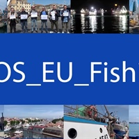 Pesca: Alleanza Coooperative, sos all’Europa per cambio rotta su strascico