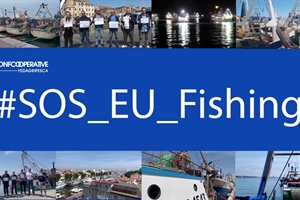 Pesca: Alleanza Coooperative, sos all’Europa per cambio rotta su strascico
