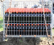 Cantina Produttori Ramuscello: Refosco premiato al Concorso Enologico Internazionale Città del Vino e a Pramaggiore