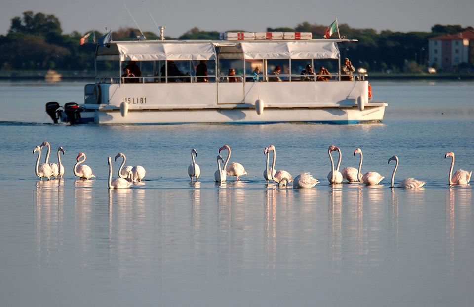 Orbetello, Fedagripesca Toscana: “Rischio mortale per la Laguna, troppi allarmi inascoltati”