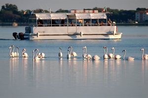 Orbetello, Fedagripesca Toscana: “Rischio mortale per la Laguna, troppi allarmi inascoltati”