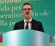 Fedagripesca, Piccinini: Bene la Cei sul ruolo delle cooperative agricole