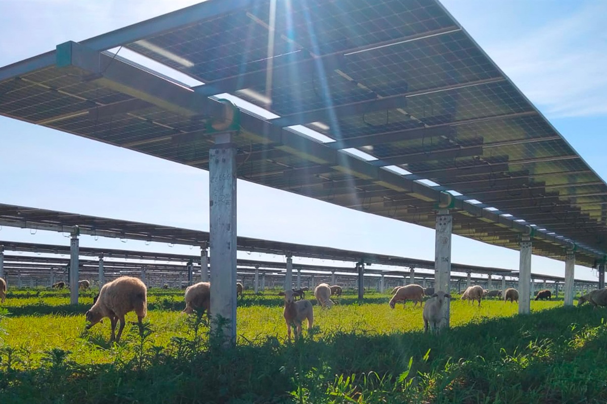 Ue: Alleanza Cooperative, bene decreto parco agrisolare, superate criticità vecchio bando