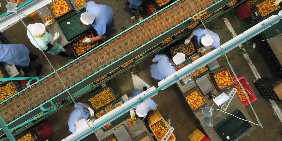 IN&OUT, la campagna di Apo Conerpo sulle qualità dell'ortofrutta