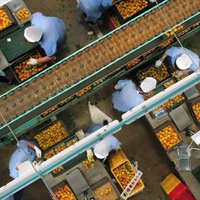 IN&OUT, la campagna di Apo Conerpo sulle qualità dell'ortofrutta