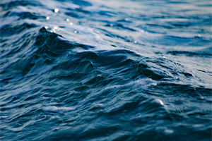 Pesca: la tutela del mare deve essere impegno di tutte le filiere della blue economy