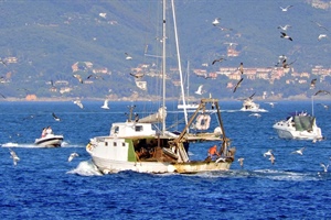 Pesca, Alleanza Cooperative: è allarme per impennata prezzo del gasolio. In tre mesi + 25%