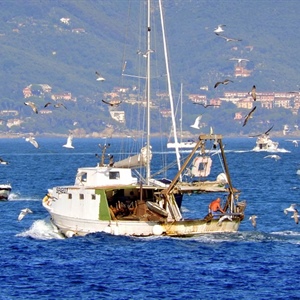 Pesca, Alleanza Cooperative: è allarme per impennata prezzo del gasolio. In tre mesi + 25%