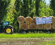 Romagna, non si arresta la catena di solidarietà tra le cooperative