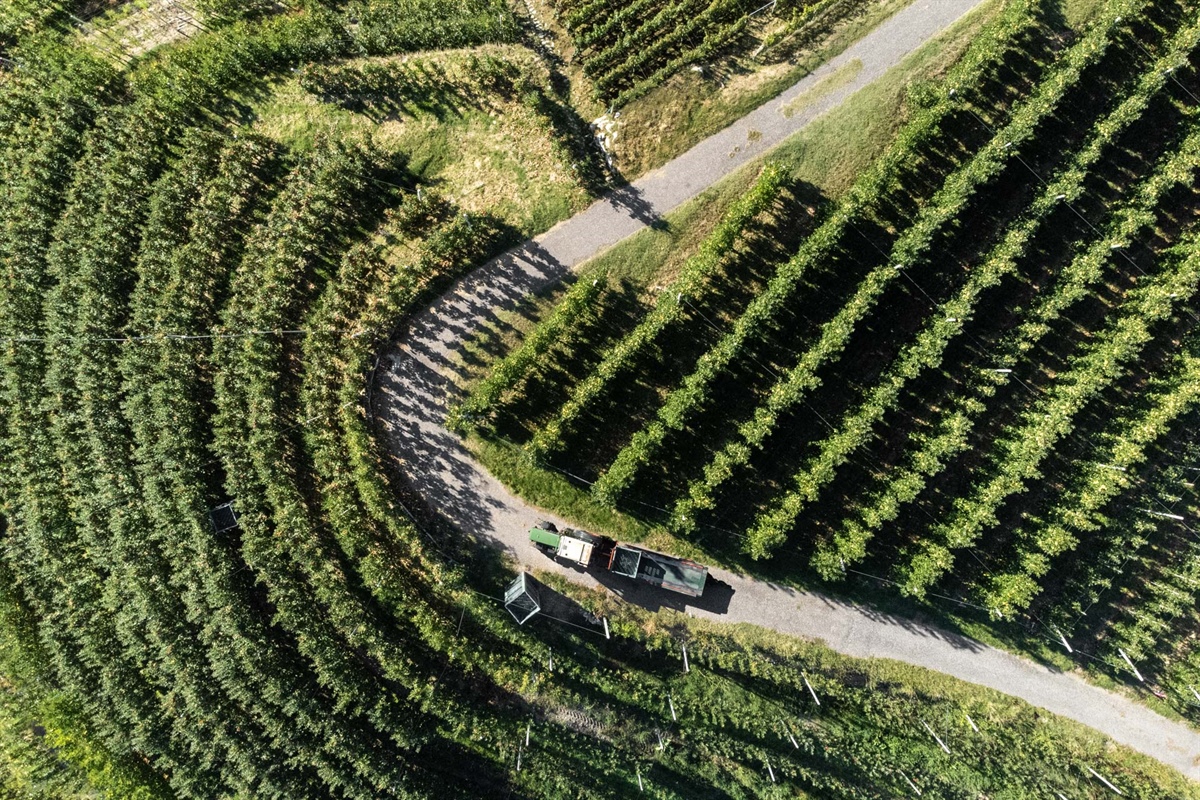 Energia rinnovabile, finanziamenti agevolati per le imprese agricole e ittiche