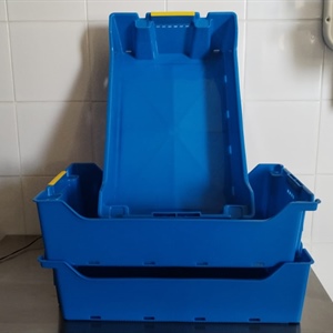 Ambiente, i pescatori di Viareggio sostituiscono 2.300 cassette di polistirolo con quelle riciclabili