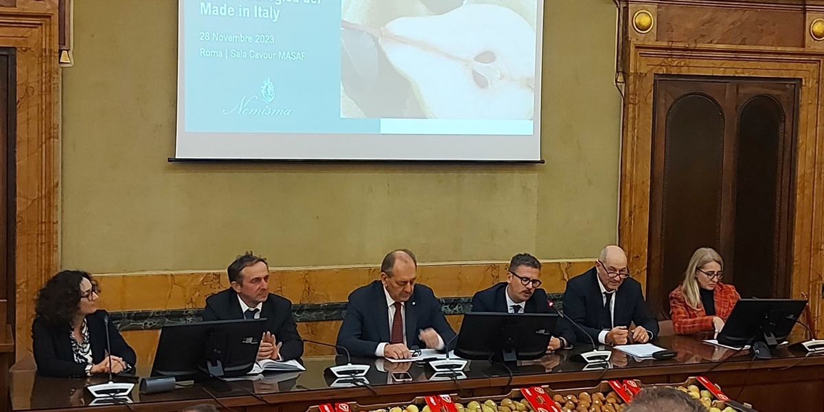 Ortofrutta: perso il 35% delle superfici di pero in dodici anni, servono ammodernamento e risorse