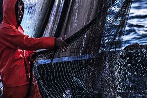 Pesca: Alleanza Cooperative, mancano pescatori e comandanti. Rivedere codice navigazione per favorire occupazione e turnover