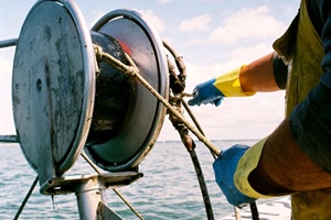 Pesca, Confcooperative Toscana: “Sta sparendo una professione, sempre più difficile trovare personale”