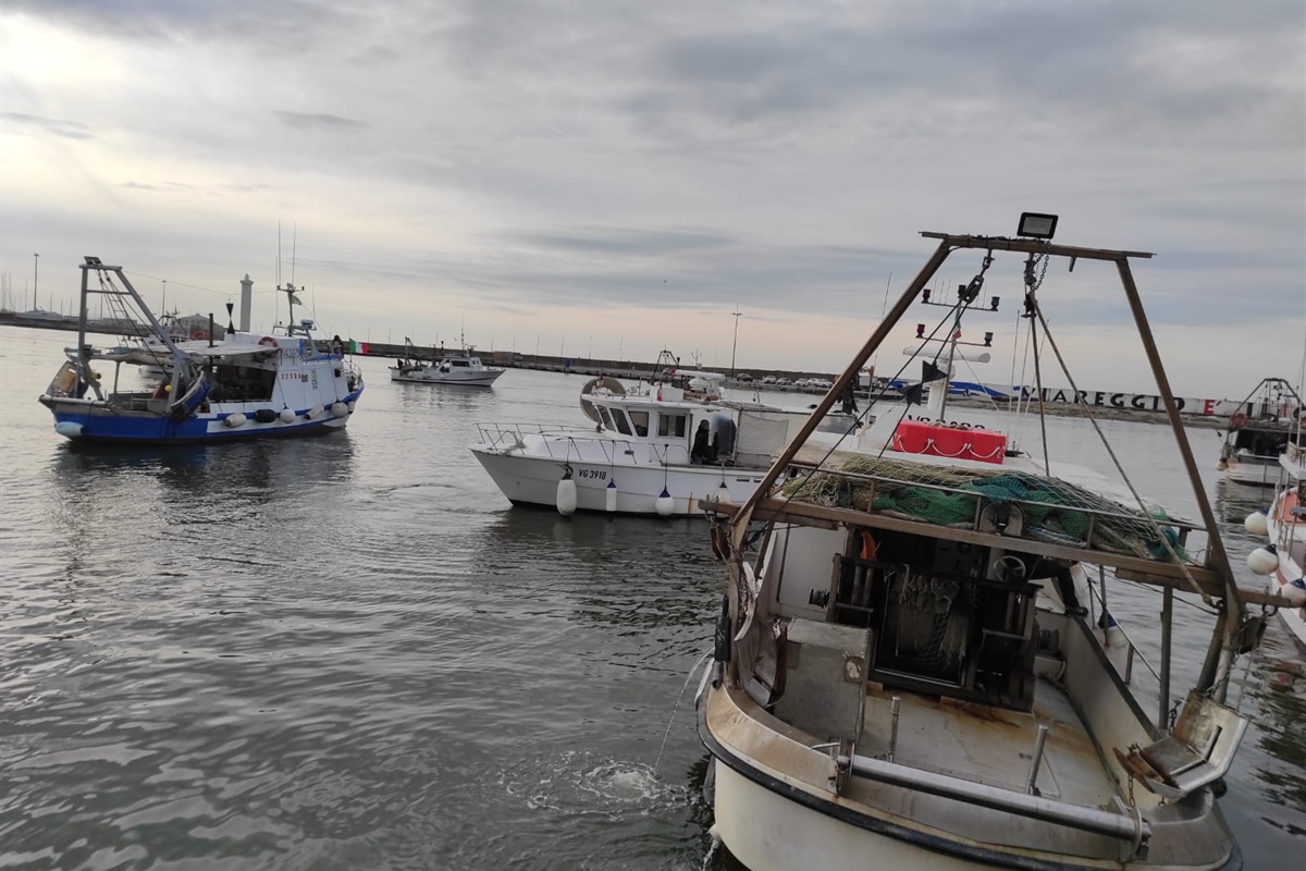 Viareggio, Fedagripesca Toscana: “Chiediamo aiuto alla Regione”