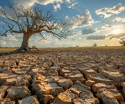 Acqua: Gardini, agricoltura settore economico più colpito, nel 2022 danni per 900 milioni